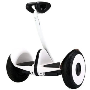 The Ultimate Guide to the 10-Inch Leg Control Electric Balance Scooter for Kids.