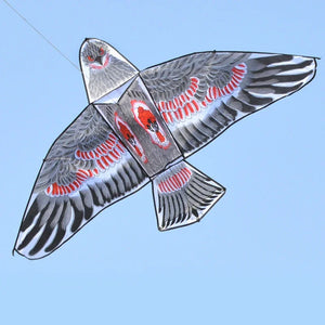 High Quality 1.1m Flat Eagle Kites With 30 Meter Line Golden Eagle Kite Games Bird Kite Weifang Chinese Kite Flying Dragon