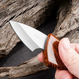 Mini Knife EDC Box Pocket Knife Outdoor Knife Portable Multipurpose Sharp Fruit Knife Disassembling Express Knife