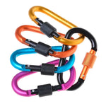 Carabiner Clips with Screw Gate